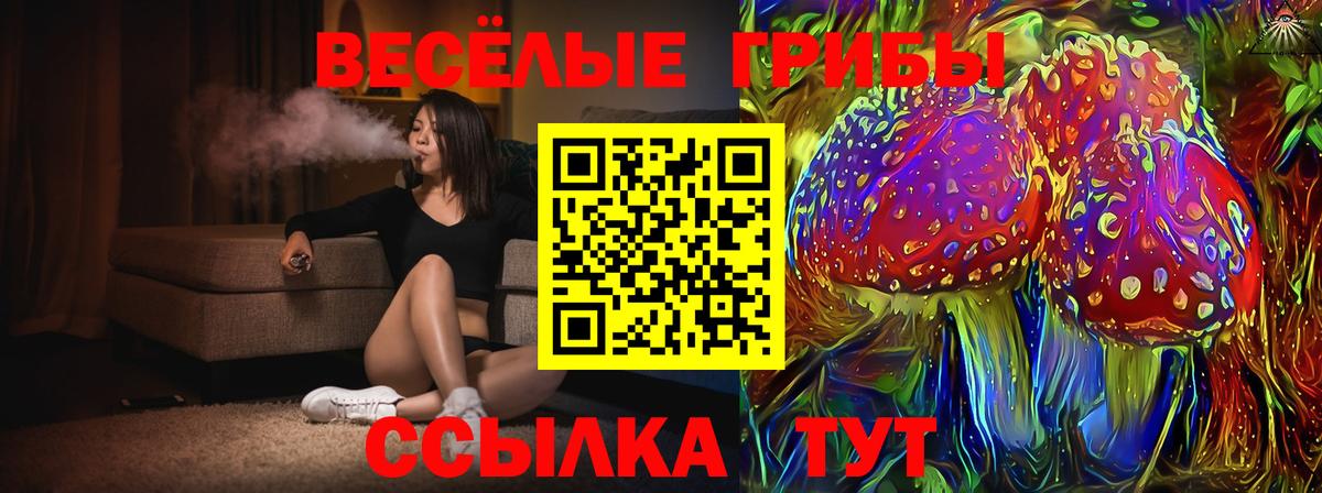Псилоцибиновые грибы мицелий  Вход с VPN  Мурино 